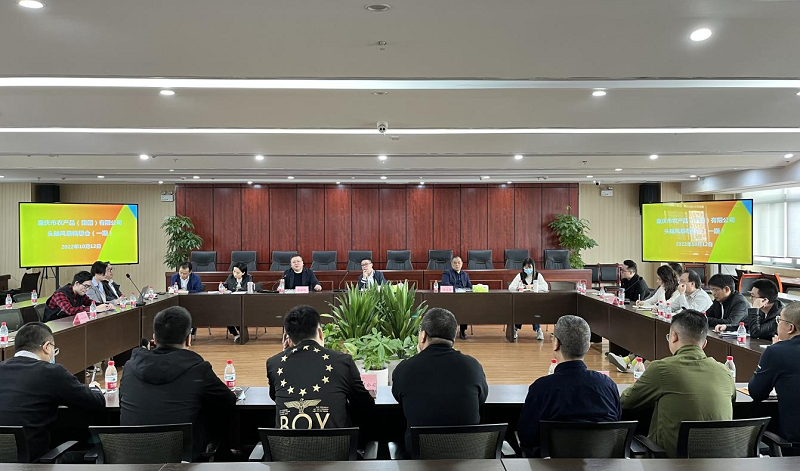 1665732183432326.png 頭腦風暴.png