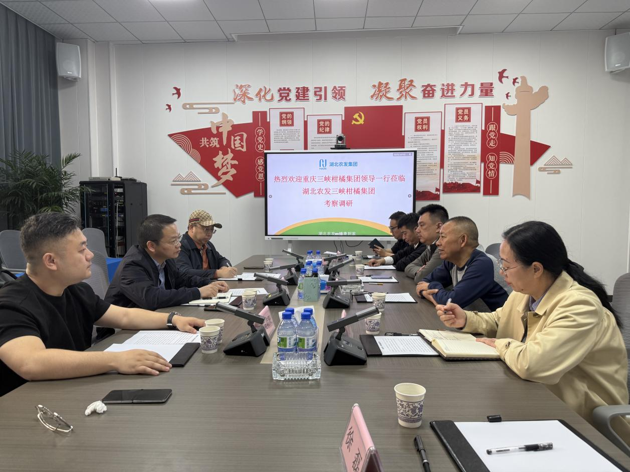 1762917792246660.png 圖片1.png